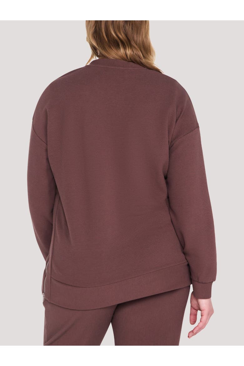 Crew Neck Long Sleeve Side Zip Tunic, Alternate, color, French Roast
