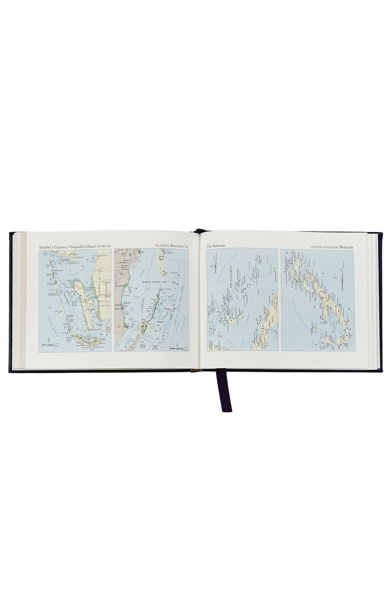 Graphic Image Ship's Log, Alternate, color, Cognac