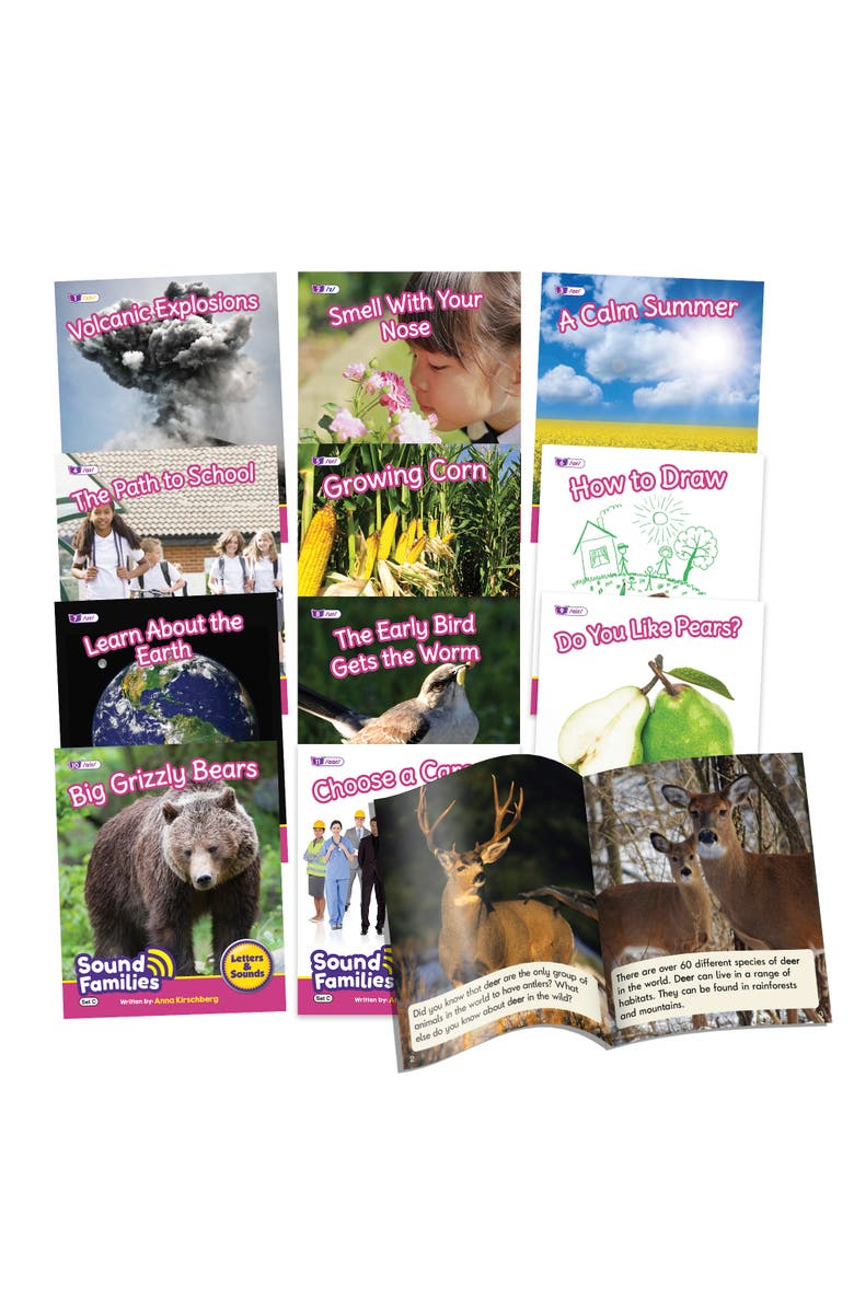 Junior Learning Decodable Readers Sound Families Rcontrolled, Main, color, Multicolored