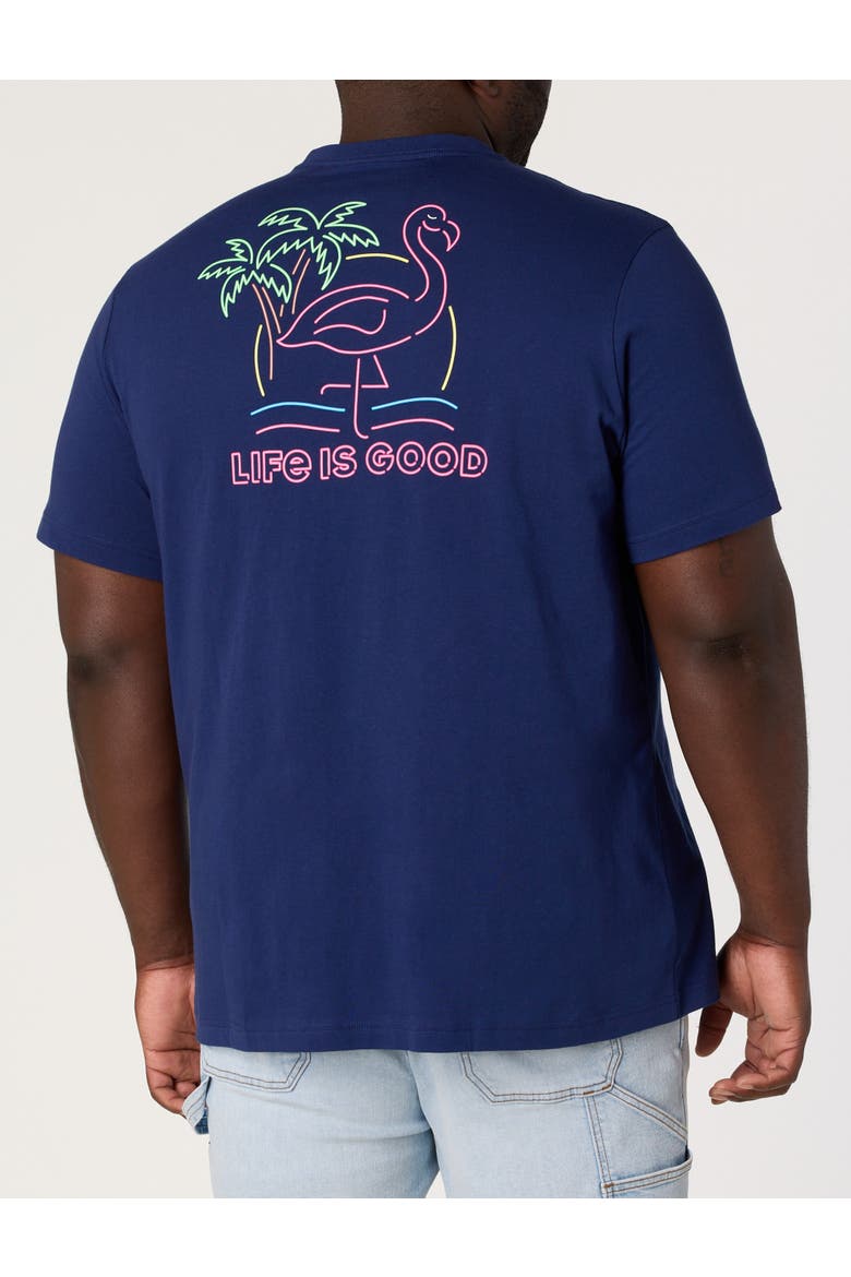 Big & Tall Flamingo Graphic Tee, Main, color, NAVY