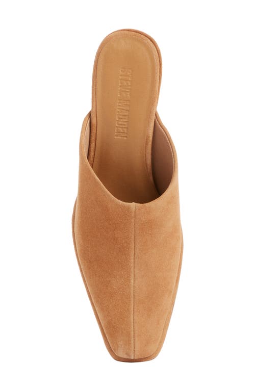 Steve Madden Dessa Mule