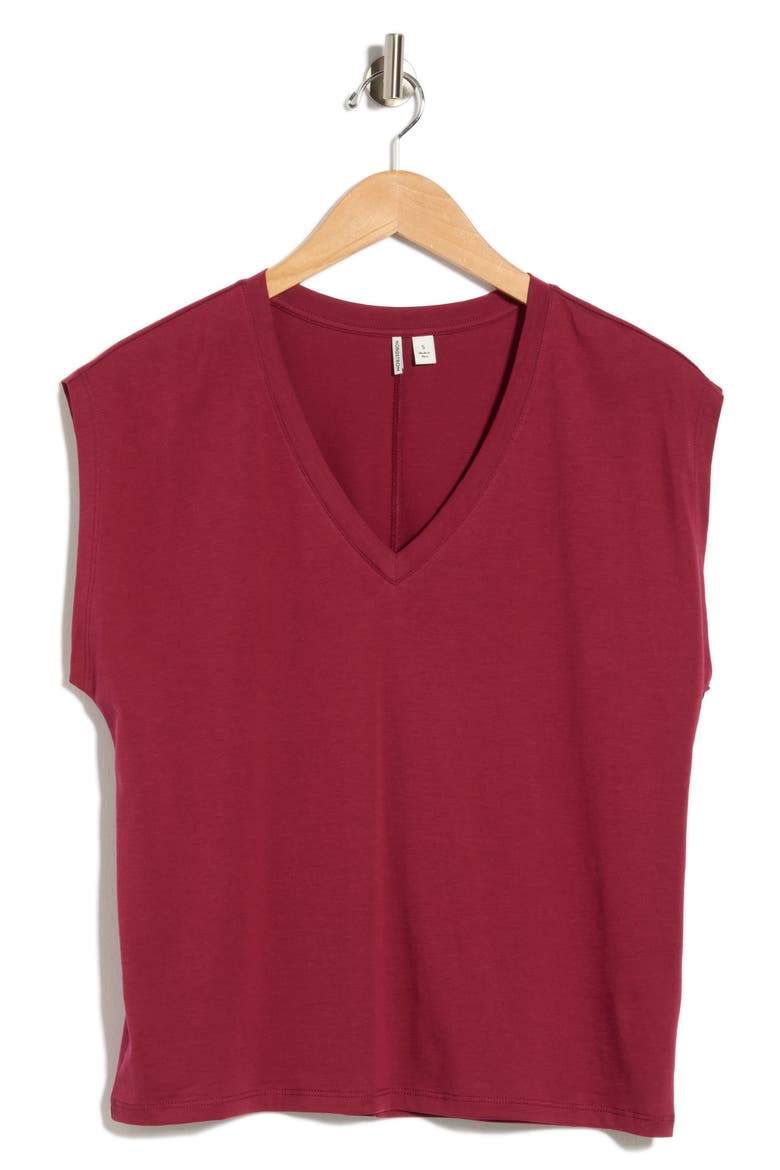 V-Neck Pima Cotton T-Shirt, Alternate, color, BURGUNDY RHODE