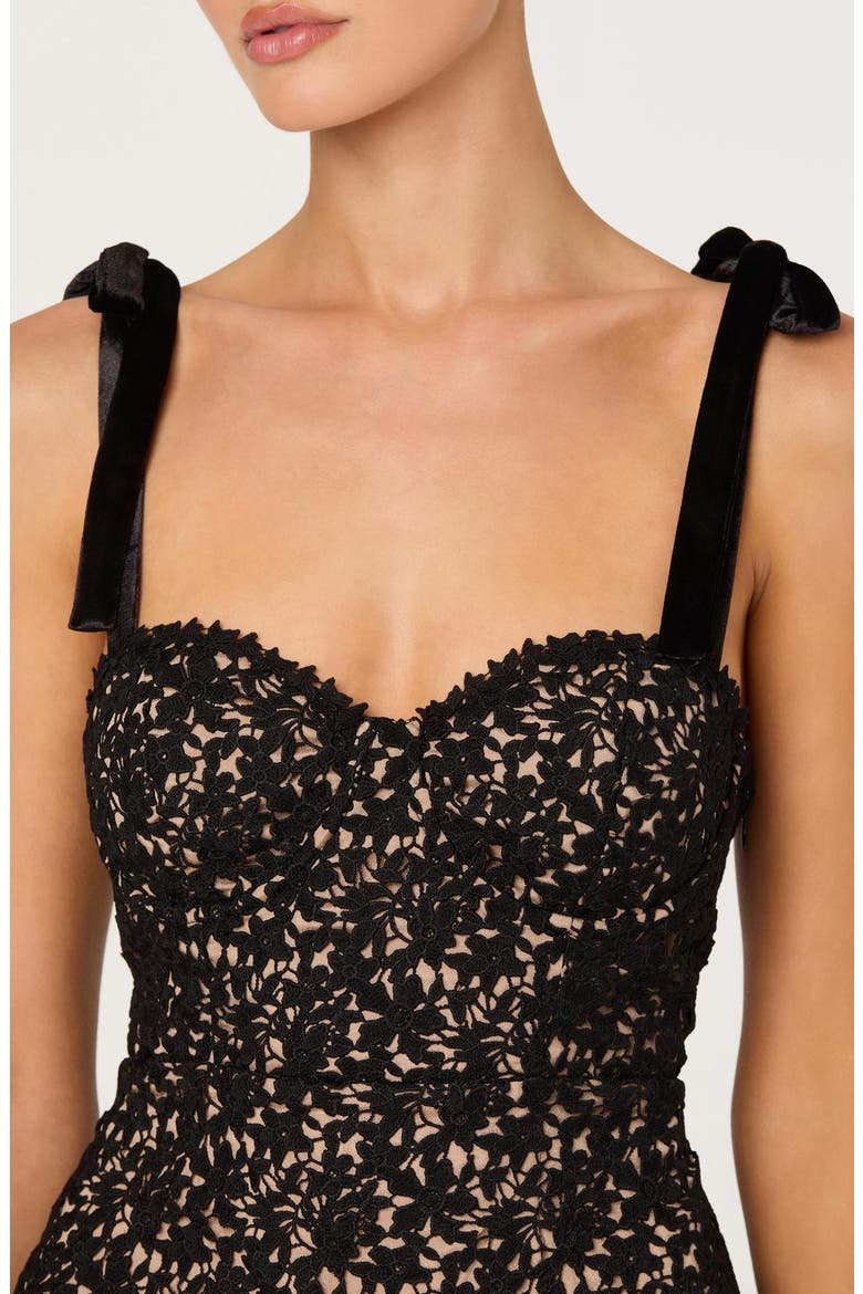 Donne Lace Corset Top, Alternate, color, BLACK NUDE