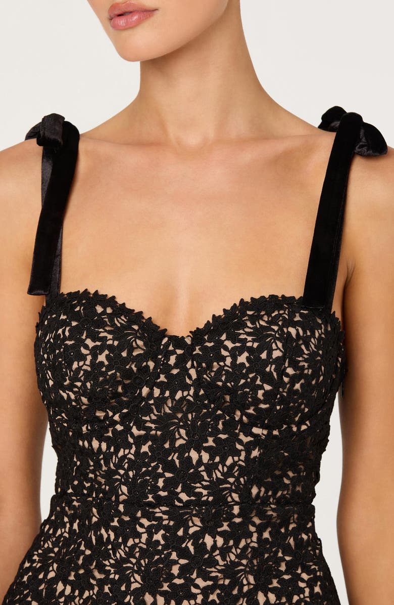 ASTR the Label Donne Lace Corset Top, Alternate, color, Black Nude