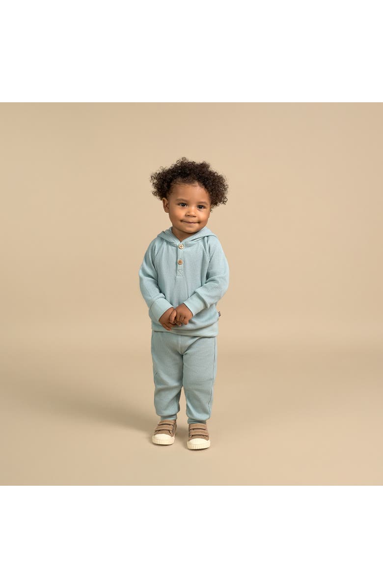Modern Moments<sup>™</sup> by Gerber Hoodie & Pant Set, Alternate, color, 