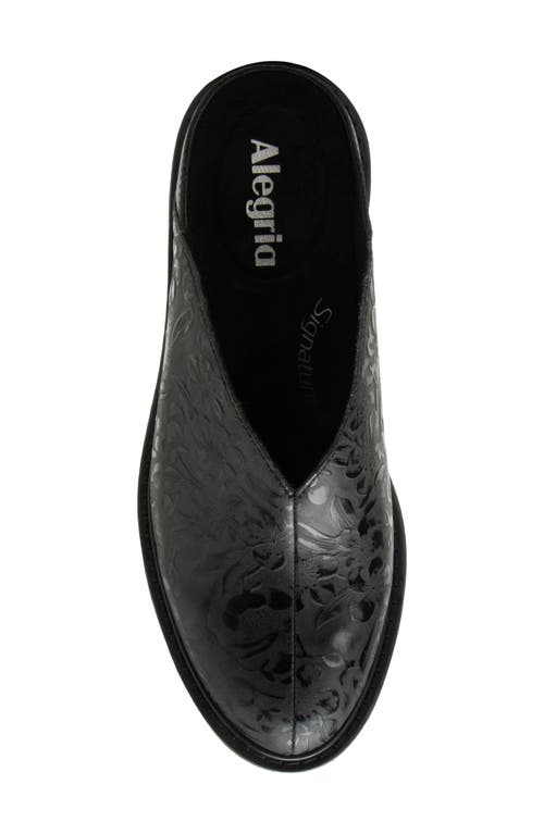 Alegria By Pg Lite Michy Mule