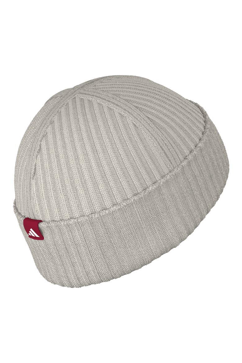 Roam Rib Knit Beanie, Alternate, color, ALUMINA GREY/ RED/ WHITE