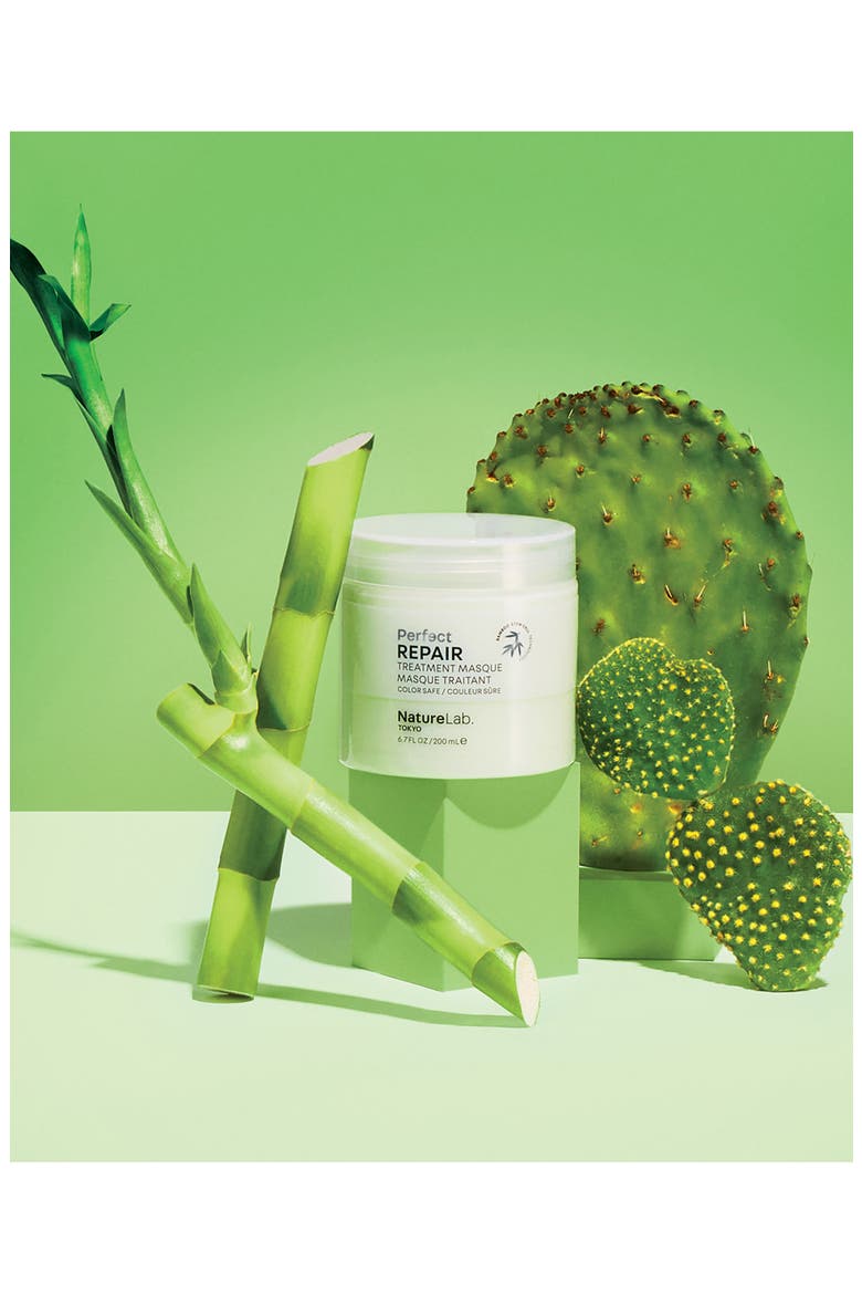 Perfect Repair Hair Mask, Alternate, color, NO COLOR