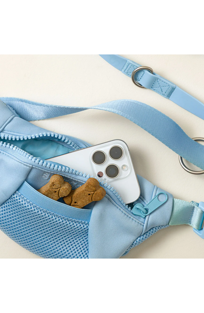 Uncommon Goods 4-in-1 Hands-Free Dog Walking Leash Bag by Springer Pets, Alternate, color, Classic Black