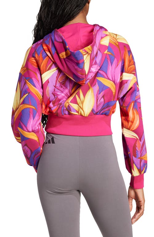 Adidas X Farm Rio X Farm Rio Cotton Graphic Hoodie In Bold Pink/yellow/fuchsia