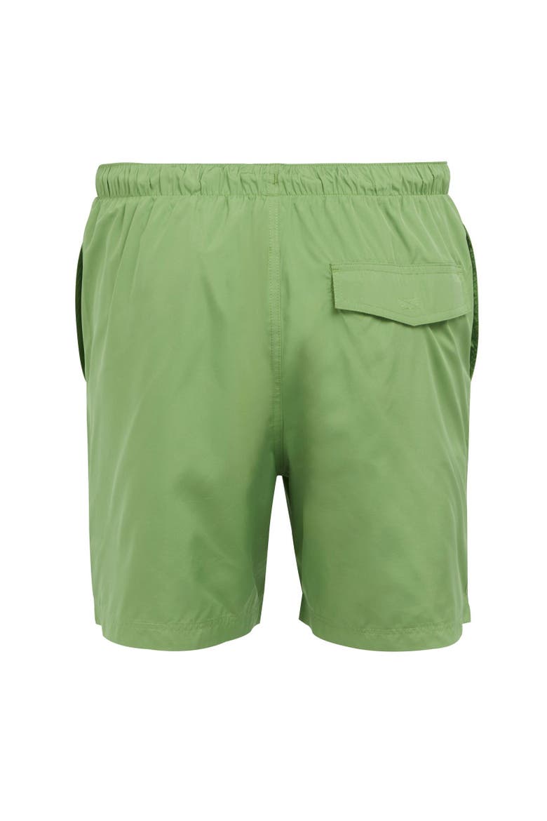 Mackleyna Swim Shorts, Alternate, color, Piquant Green