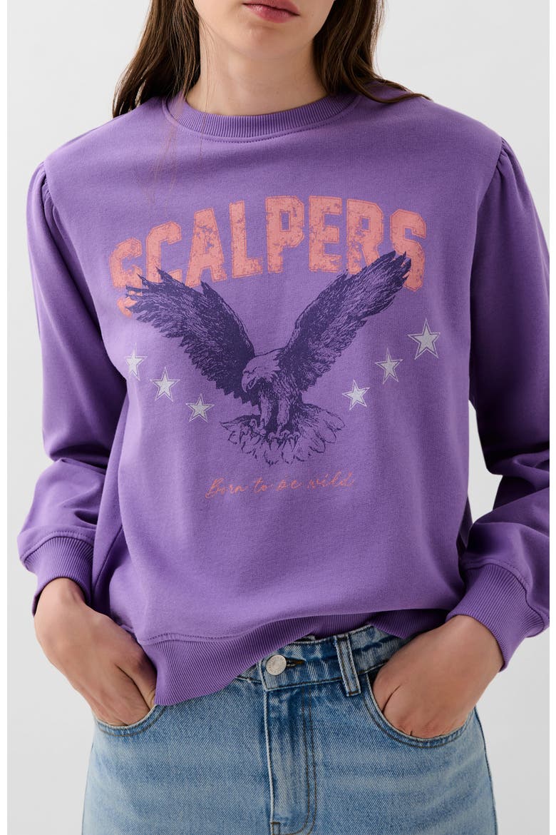 Sceagle Sweater, Main, color, Purple