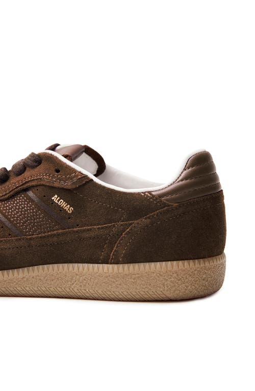 Shop Alohas Tb.490 Rife Sneaker In Brown