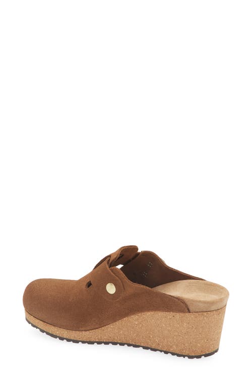 Birkenstock Papillio By Fanny Buckle Clog In Brown
