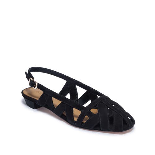 Bernardo Footwear Glinda Flat In Animal Print