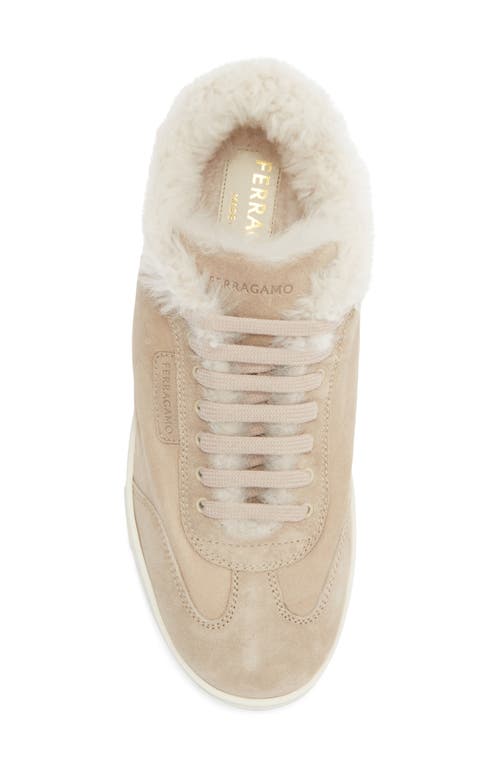Ferragamo Thea Low Top Sneaker In Brown