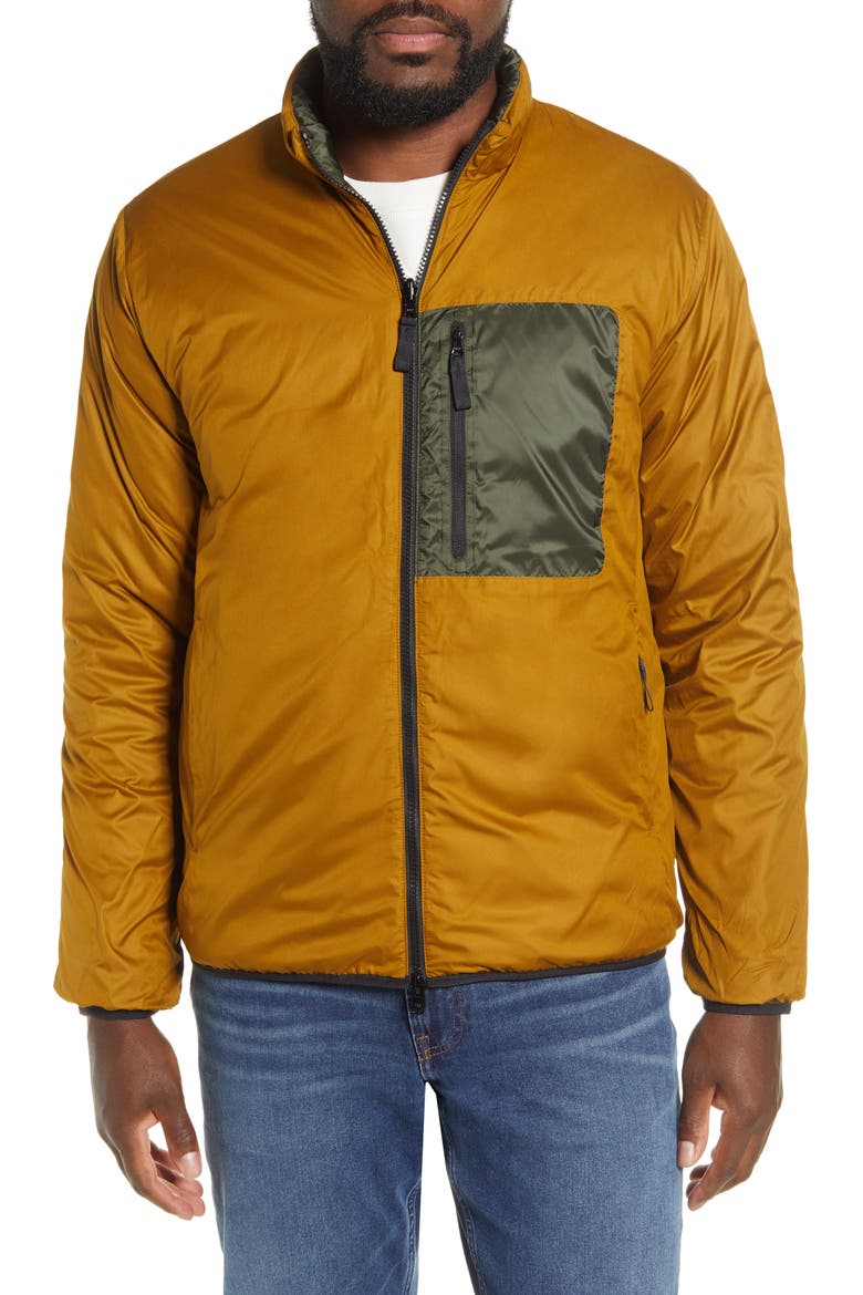 The ReNew Lightweight Reversible Liner Jacket, Alternate, color, FOREST NIGHT/ BRASS