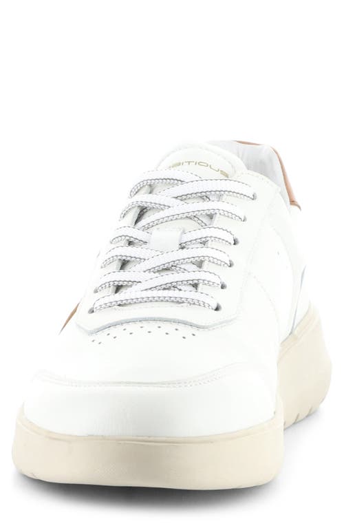 AMBITIOUS AMBITIOUS 12863 LOW TOP SNEAKER 