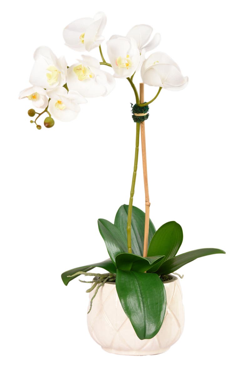 Stella Orchid Planter Decoration, Main, color, WHITE SMALL