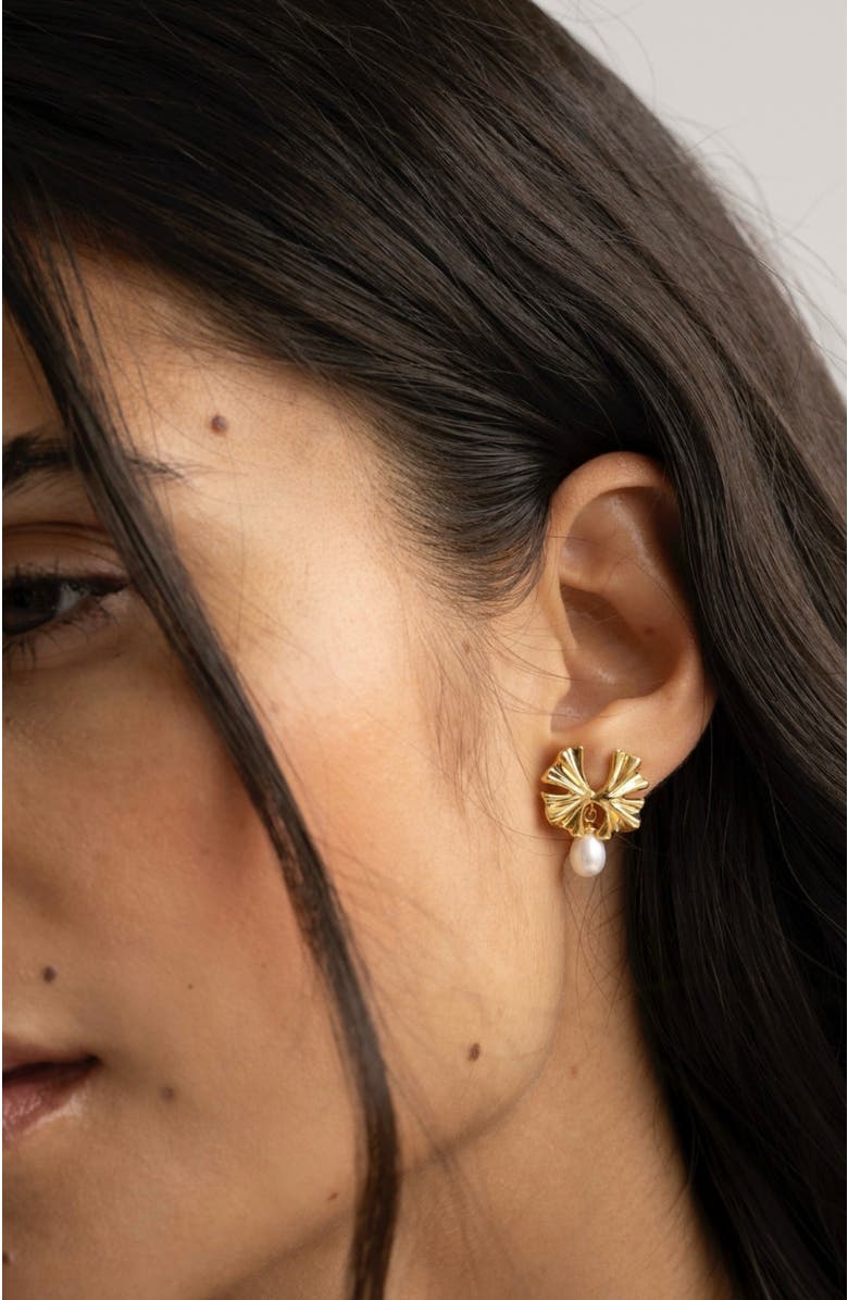 SEREIA OFFICIAL Simone Earrings, Alternate, color, Yellow Gold