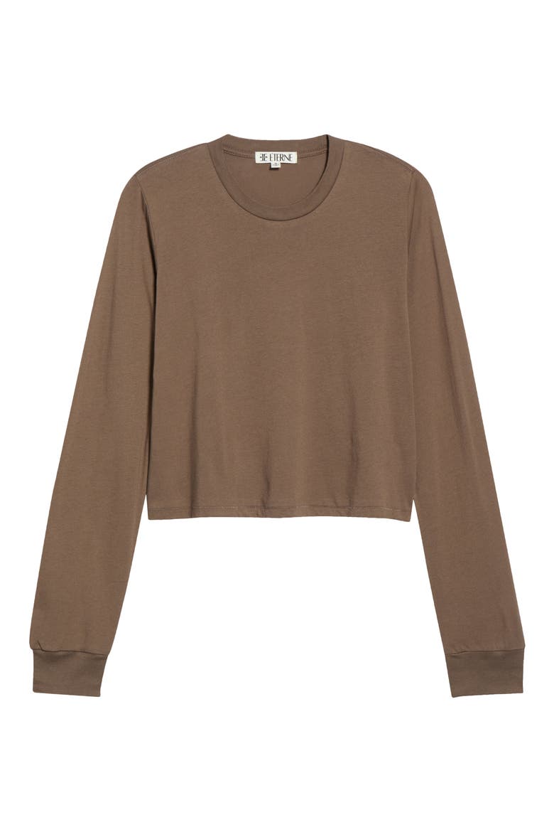 Long Sleeve Boxy T-Shirt, Alternate, color, MUSHROOM