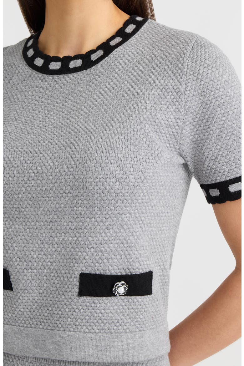 Contrast Trim Short Sleeved Sweater, Alternate, color, LIGHT GREY MIX