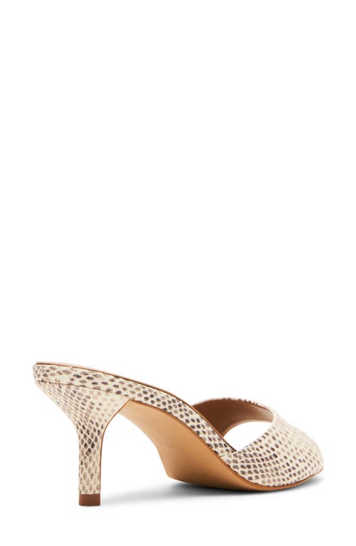 Steve Madden Kendrix Sandal In Neutral