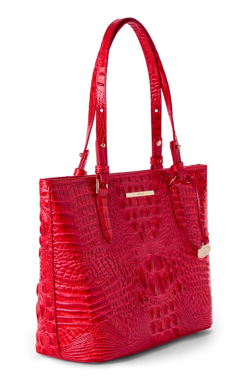 Brahmin Medium Asher Croc Embossed Leather Tote