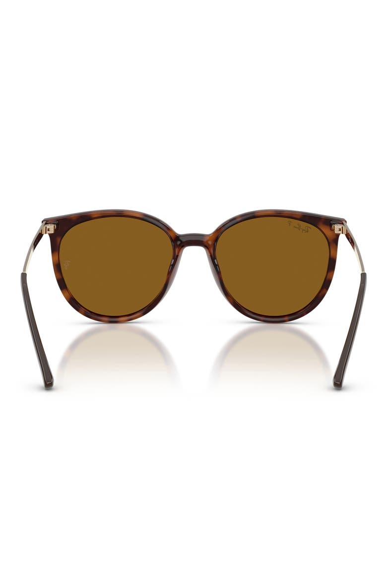 RB4464L 54mm Polarized Round Sunglasses, Alternate, color, DARK HAVANA / DARK BROWN POLAR