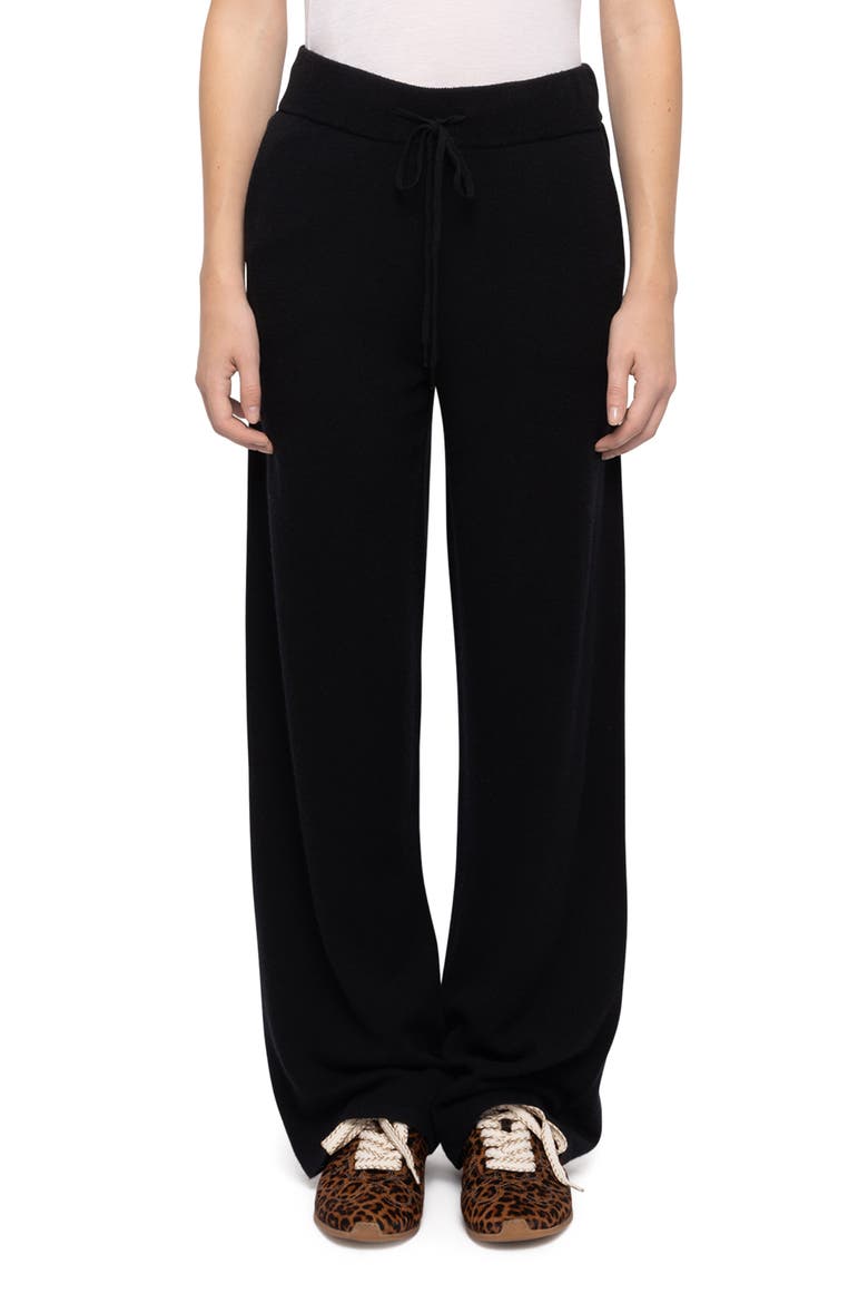 Parraz Wide Leg Wool & Cashmere Pants, Main, color, BLACK