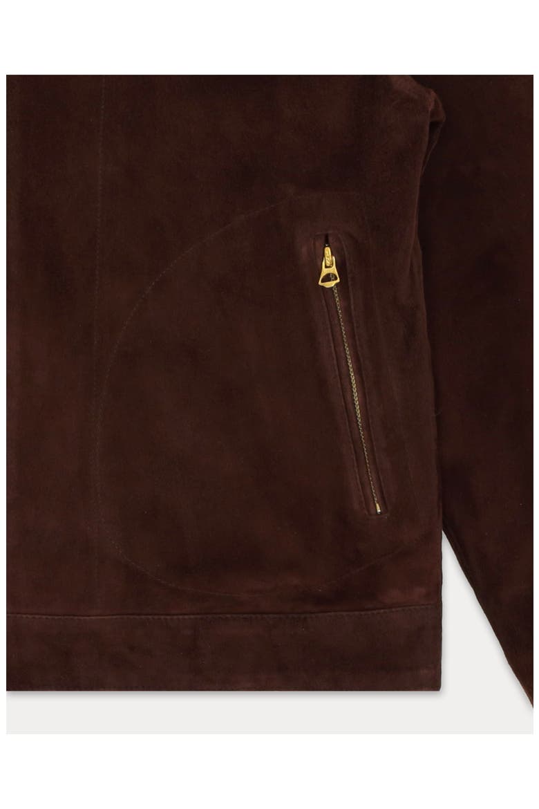 Cash Suede Leather Jacket, Alternate, color, Dark Brown
