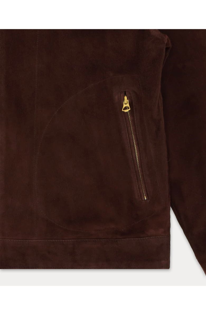 Fortela Cash Suede Leather Jacket, Alternate, color, Dark Brown