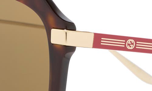 Gucci 57mm Aviator Sunglasses In Havana Gold Brown