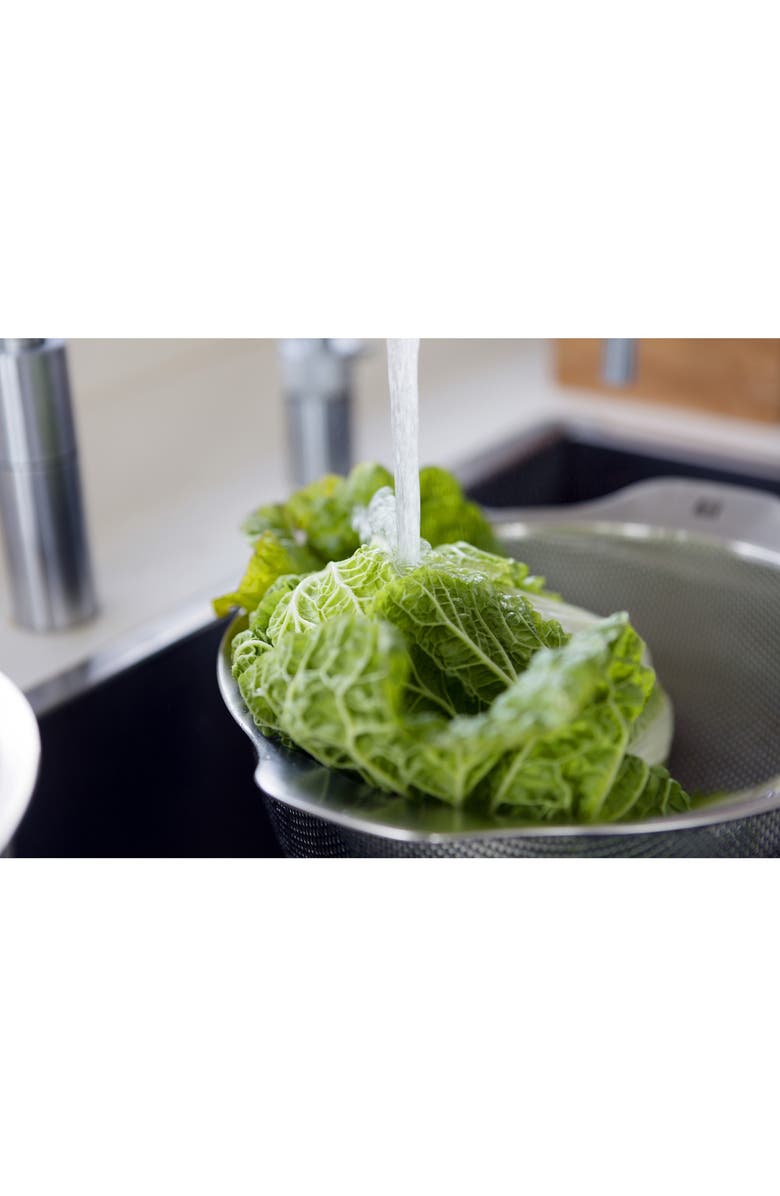 ZWILLING 9.5-Inch Stainless Steel Strainer, Alternate, color, Stainless Steel