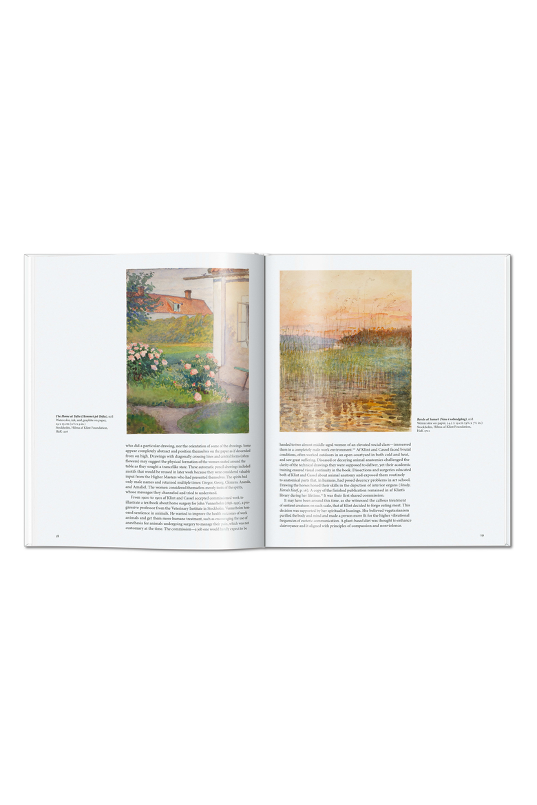 Hilma af Klint Book, Alternate, color, White