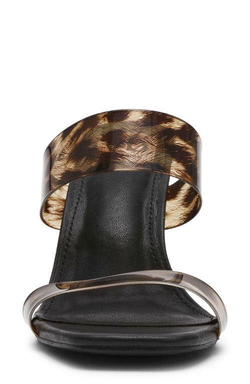 Dolce Vita Dv By Sheela Sandal In Brown