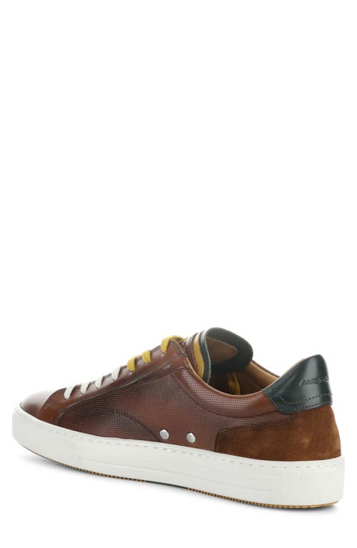 AMBITIOUS AMBITIOUS 11218 LOW TOP SNEAKER