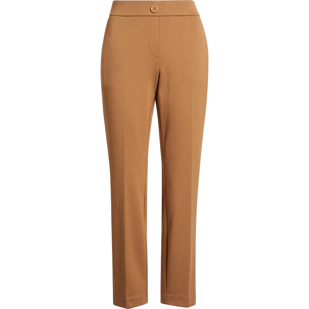 Ak Anne Klein Faux Fly Straight Leg Pants In Brown