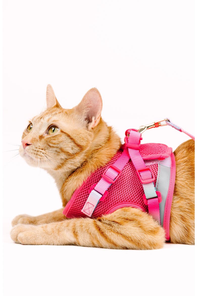 Stasia Cat Harness and Leash Set, Alternate, color, Stasia