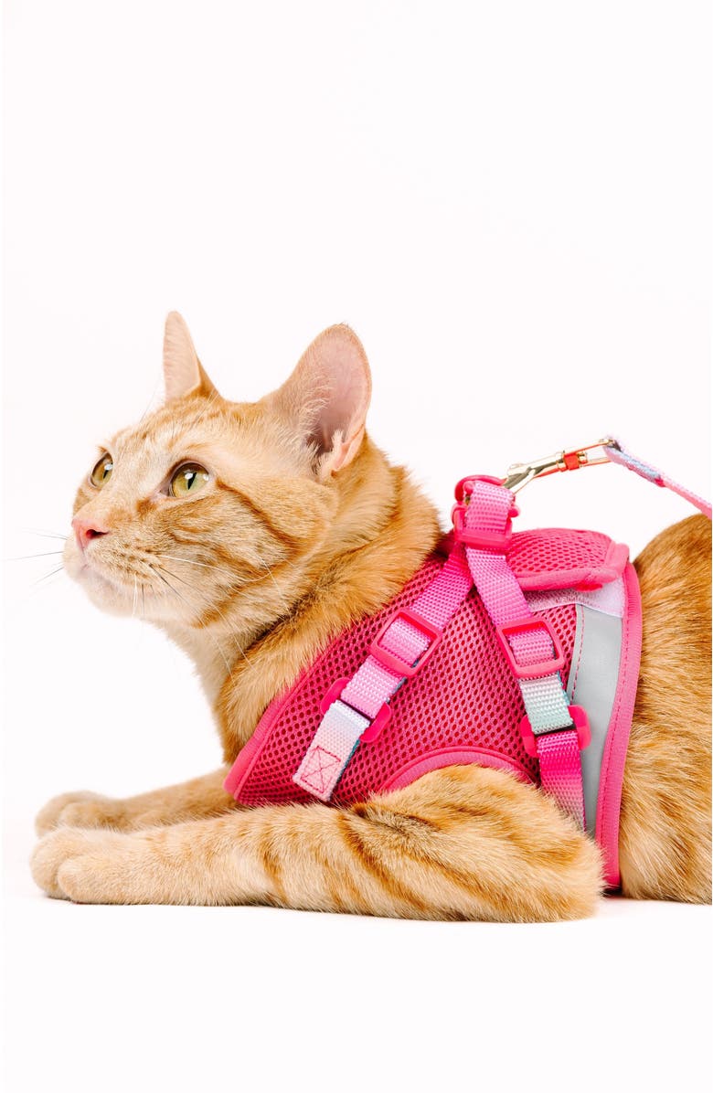 Pink Papyrus Stasia Cat Harness and Leash Set, Alternate, color, Stasia