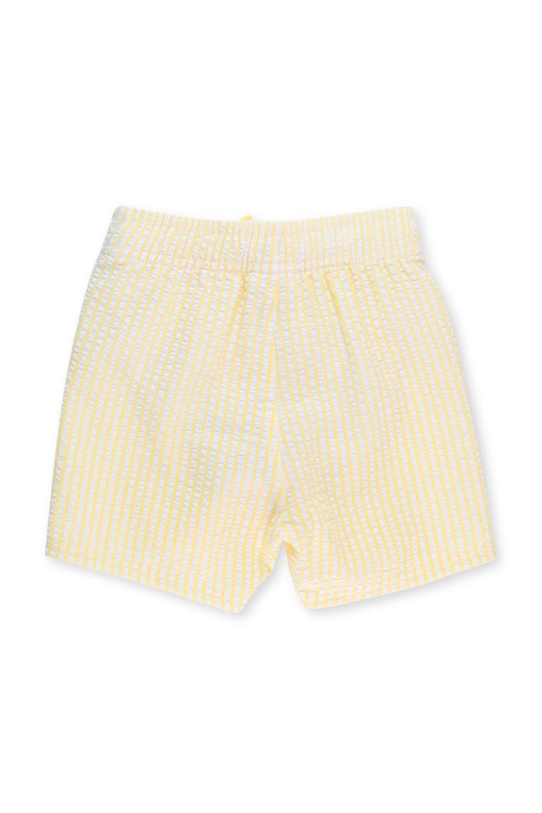 Toddler Boys UPF50+ Swim Trunks, Alternate, color, Banana Seersucker