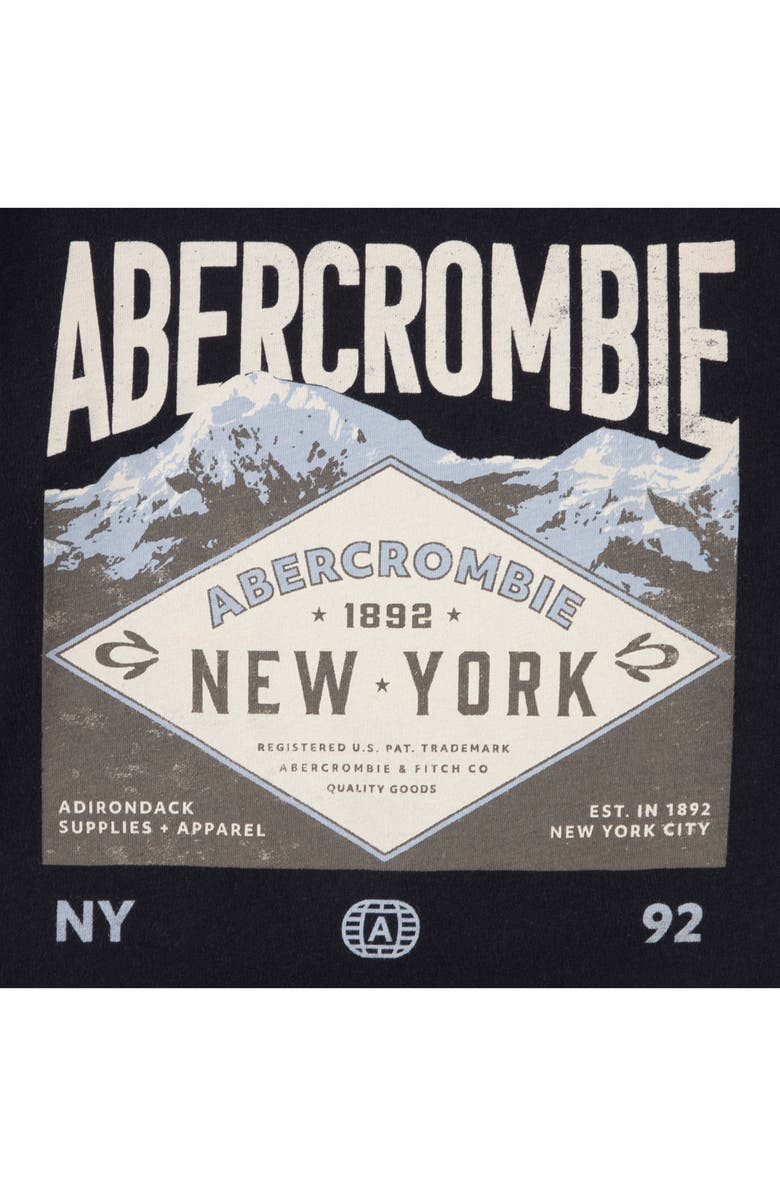 abercrombie kids Kids' Adirondacks Cotton Graphic T-Shirt, Alternate, color, Anthracite