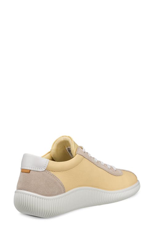 Ecco Soft Zero Sneaker In Multi