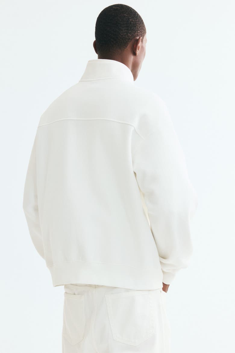 Loose Fit Half-Zip Sweatshirt, Alternate, color, Cream