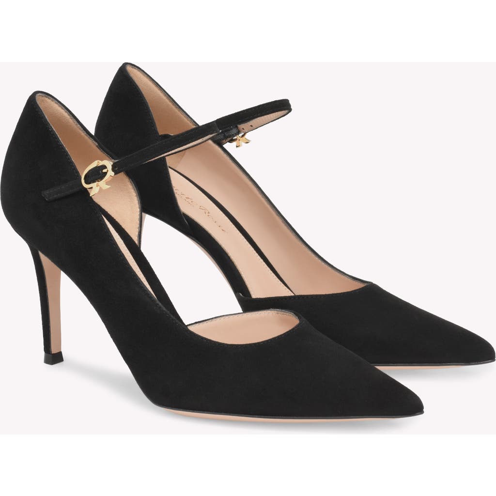 Gianvito Rossi Suede Pumps In Black