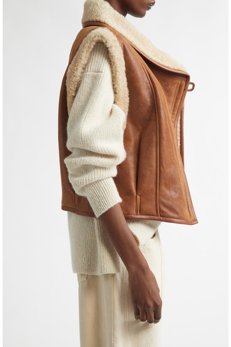 Alime Genuine Shearling Vest, Alternate, color, COGNAC