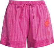 Rip Curl Hotel Malibu Embroidered Yarn Dyed Stripe Shorts
