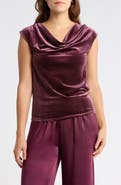 NORDSTROM RACK Velvet Cowl Neck Top
