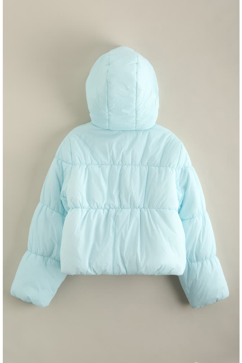 Kids' Polar Pop Hooded Jacket, Alternate, color, BLUE SPRAY