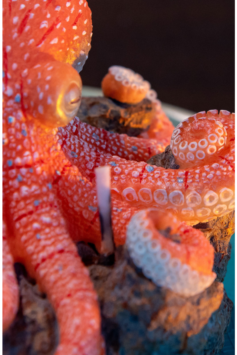 Octopus on Reef Candle, Alternate, color, Bright Coral / Turquoise